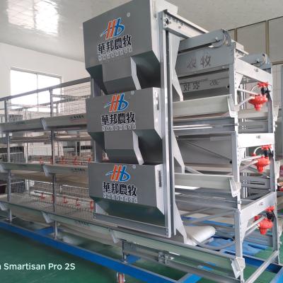 China cages for broiler chicken broiler chicks cobbs 500 broiler farm coop for sale