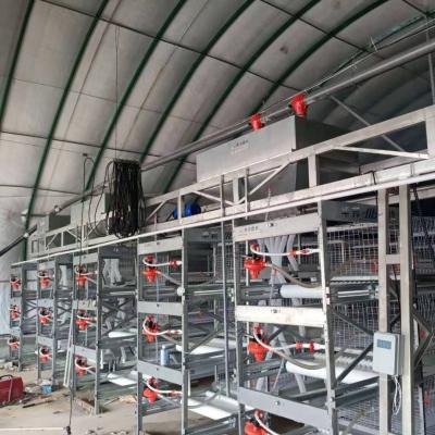 China live broiler chickens broiler equipment livestock transport cages Te koop