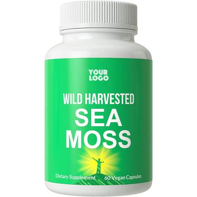 China immune & Anti-Fatigue Private Label No GMO Bladderwrack Organic Irish Sea Moss Capsules Pills Tablets Non Gummy Burdock for sale