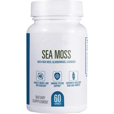 China immune & Anti-Fatigue Organic Sea Moss Plus Bladderwrack and Burdock Root Capsules for Gut Health, Immune Support and Thyroid Supplement for sale