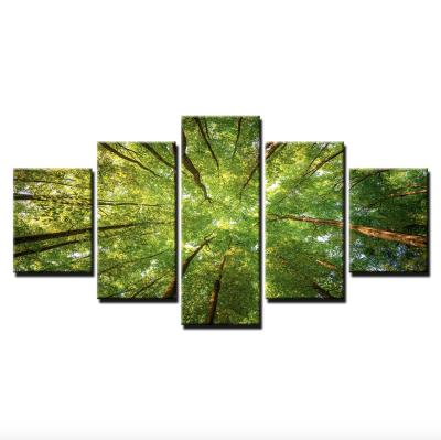 China Modern Art Landscape HD 5 Panel Print On Canvas Forest Wall Picture Green For Room Decoration for sale