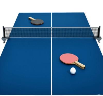 China Children's Competitive Price Training Ping Pong Net Adjustive for sale