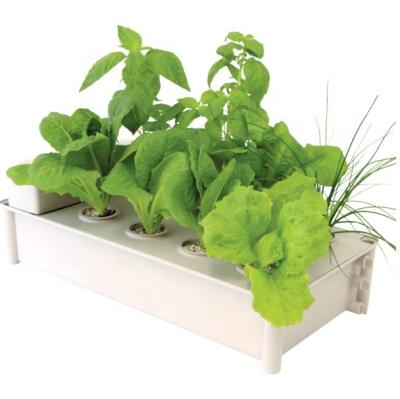 China Modern Indoor Hydroponics Growing Systems for sale