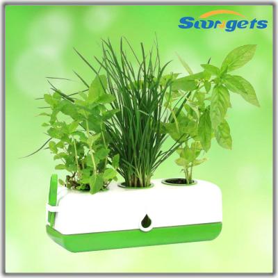 China Indoor High Quality Products Giant Flower Pot for sale