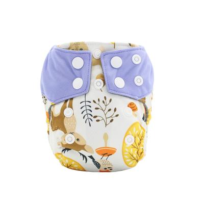 China Happyflute Adjustable Cloth Newborn Bamboo Diaper AIO Charcoal Cloth Printed Cloth Diaper for sale