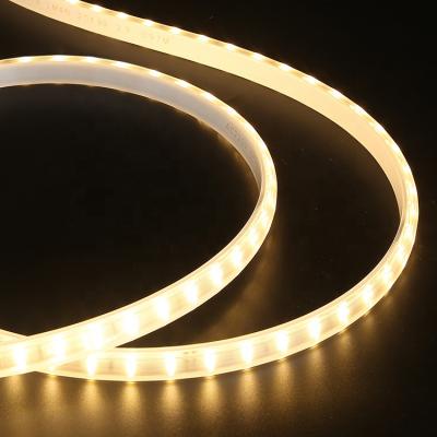 China Hotel Surprise Price Outdoor IP65 SMD 2835 120leds/m AC 110V 220V AC 110V 220V Waterproof Strip Led Strip Light for sale