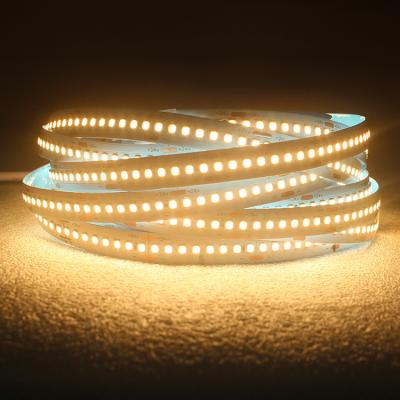 China Residential 5m 5metres led strip light rohs high power usb profile 10m cutable luminous waterproof flexible multimeters 10 wire strip light for sale