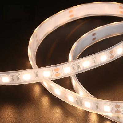 China Easy Installation DC12V 24V Outdoor SMD 5050 Strip Light Led Strip Waterproof Flexible IP65 Led Rope Light for sale