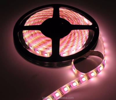 China Hotel high brightness 5050 rgbw led chip 24v waterproof flexible led strip light for sale