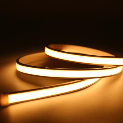 China LANDSCAPE Flexible LED Strips IP68 Waterproof Neon Sign 5m Led Strip Neon Light 24V Custom for sale