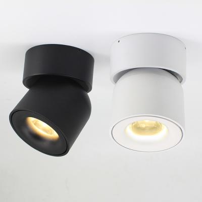 China EUROPEAN Modern Led Outdoor Mounted Spotlight Ceiling Spot Light For Home Hotel for sale