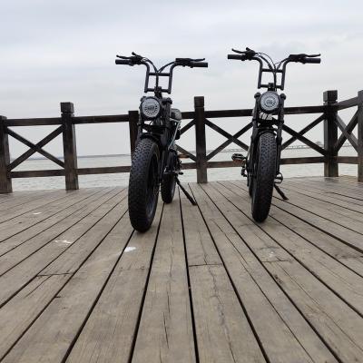 China Best Quality Steel Electric-Bike China Manufacturer for sale