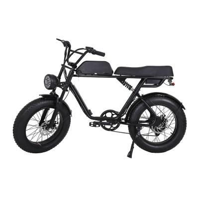 China 20Inch 7speed fat tire steel brushless motor electric bike for sale