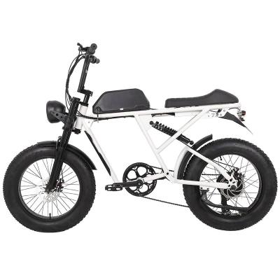 China Steel 20inch Most Popular Fat Tire 500w Electric Cycle Bike for sale