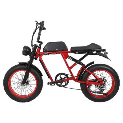 China Hot Selling Steel Fat Tire 750w Dirt Electric Bike For Adults for sale