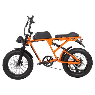 China Wholesale factory price steel tire electric bike 1000w ebike for sale for sale