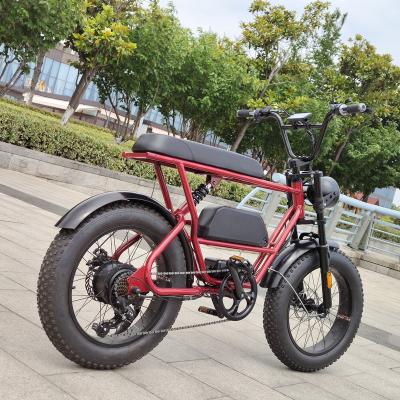 China Good Steel Beach Electric Bike/E Bycicle/Ebike/Battery Price Electric Bike/Electric Bike Battery/Electric Bike Battery/Folding Ebike/ for sale