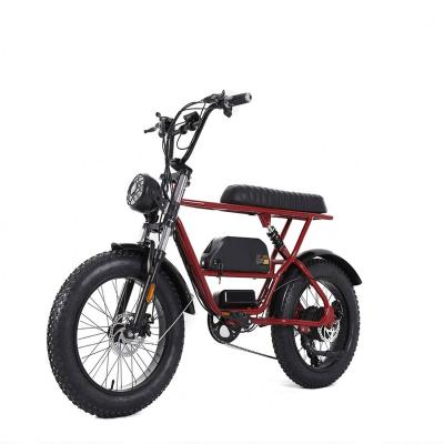 China Steel Ebike/Eclectic Bike/Folding Electric Bike/Electric Folding Bike/Folding Bicycle Electric Bike/Folding E/Foldable Ebike for sale