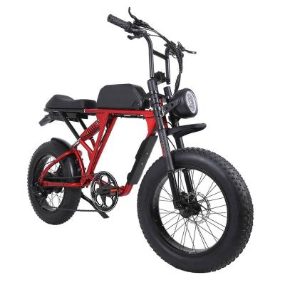 China cheap steel two person electric bicycle china for sale