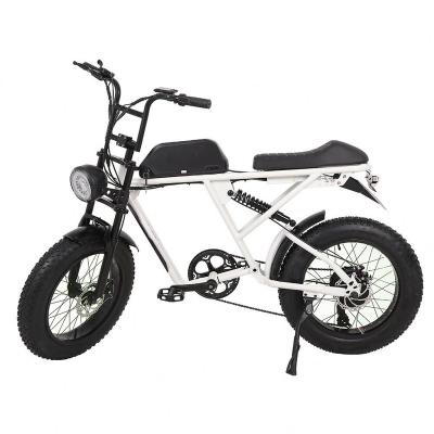 China Wat 1000 High Quality 500 Watt Cycle Steel Electric Bicycle for sale