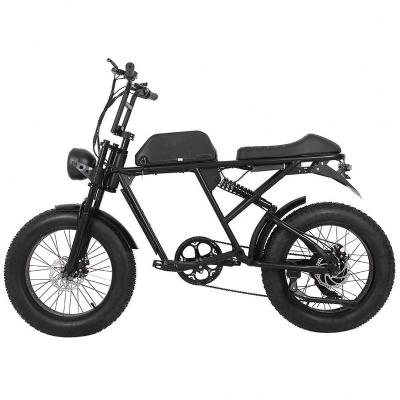 China Hot Selling Lithium Steel Ion Bike Battery Electric Bicycle for sale