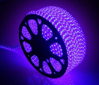 China SMD 5050 60LED/M 110V 14.4W/M Purple LED Strip Light for sale