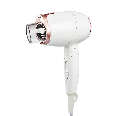 China High Quality Professional Mini Anion Foldable Hot Selling Negative Ion Hair Dryer for sale