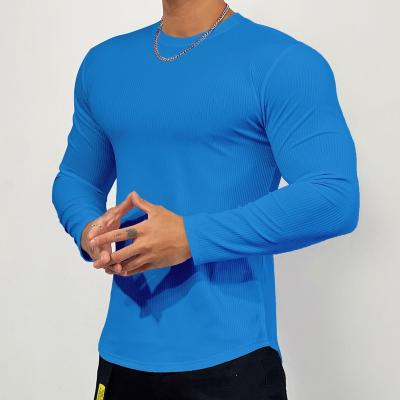 China High Quality Hot Sales Sports Mens Womens Anti Shrink Running Long Sleeve Men's Quick Dry T-Shirt for sale