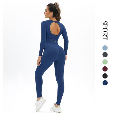 China Best Selling Custom Long Sleeve Breathable Sports Seamless High Waist Women's Activewear Yoga Fitness Equipment Sets for sale