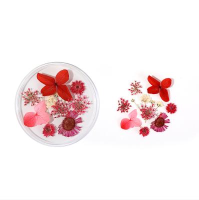 China DIY 3D Dried Flower Nail Decoration Real Natural Dry Flower DIY Nail Art UV Gel Polish Manicure Decals Jewelry for sale