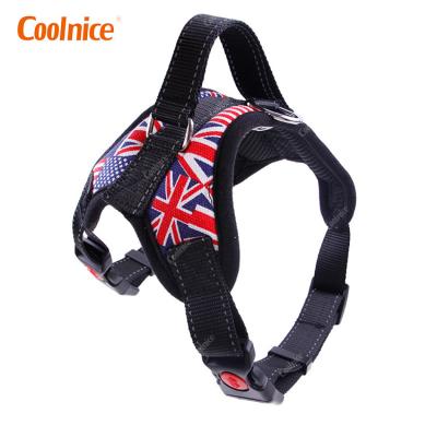 China Soft Padded No Pull Adjustable Pet Harness Set Custom Dog Cat Harness And Leash Set For Walking for sale