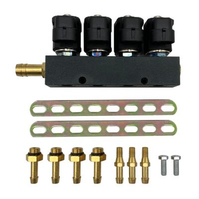 China Cng Fuel Injector Rail 4cylinder Ngv For Gas Auto Car Standard Size for sale