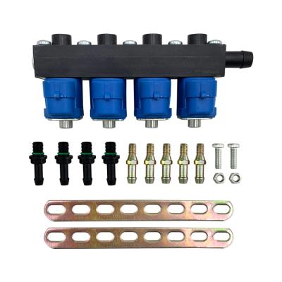 China Cng car injector autogas kit rail injectors for lpg standard size for sale