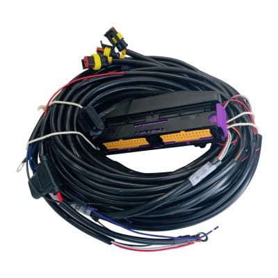 China LD Automobile Manufacturers Universal Car ECU Sheathed Wire Harness for sale