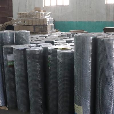 Chine Hot Dipped Galvanized Welded Wire Mesh Stainless Steel Chicken 18 Gauge Welded Wire Mesh à vendre