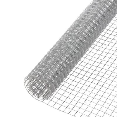 Chine High Quality Bird Cage Dog Fence Wire Mesh Fence Welded Wire Mesh à vendre