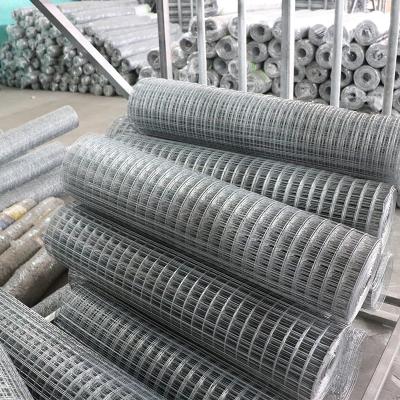 China Free Sample 6 Gauge Welded Wire Mesh Fence Panels Steel Iron Wire Mesh à venda