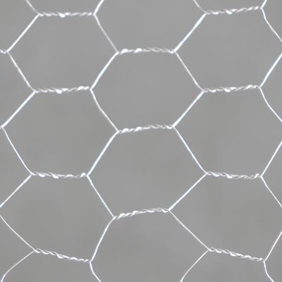 Cina Poultry Wire Galvanised Hexagonal Wire Mesh Grid Hexagonal in vendita