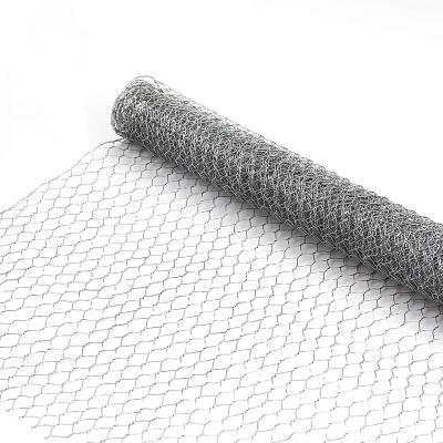 China Free Sample Wire Netting Galvanized Mesh Hexagonal Wire Mesh for sale