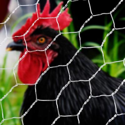 China Good Quality Netting Bird Mesh Hexagonal Wire Mesh For Chicken Wire Lowe for sale