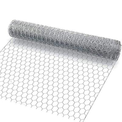 China Hexagonal Net Galvanized Wire Mesh Normal And Reverse Hexagonal Wire Mesh Te koop