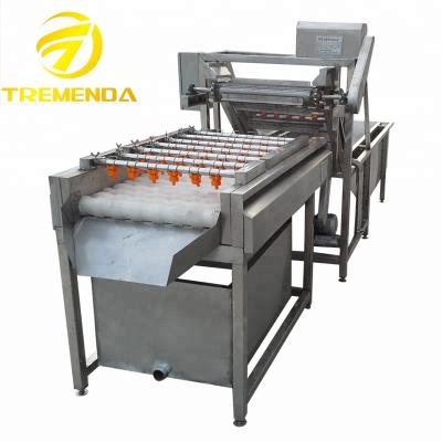 China Labor Saving Oranges / Lemons / Vegetable And Fruit Washing Machine Line Citrus / Avocado Washing Machine for sale