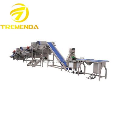 China High Efficiency Salad Making Machine for sale