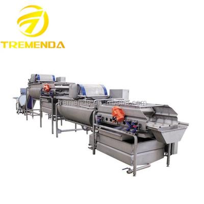 China High Efficiency Head Salad Machine for sale