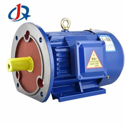 China Totally Enclosed Brushless AC Electric Motor in China for sale