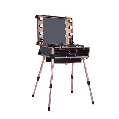 China Fashion Large Lighted Vanity Case With Mirror Wheeled Organizer For Dressing Room for sale