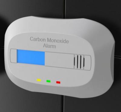 China Carbon Monoxide Detecting AC 220V Co Personal Detector Carbon Monoxide Alarm Detector en venta