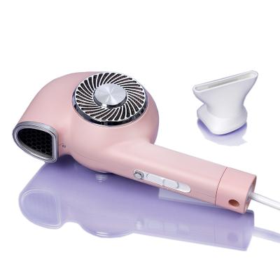 China AC Motor Ionic Cute Salon Hair Dryer Blow Hair Dryer Good Quality High Speed ​​Styling Hair Dryer for sale