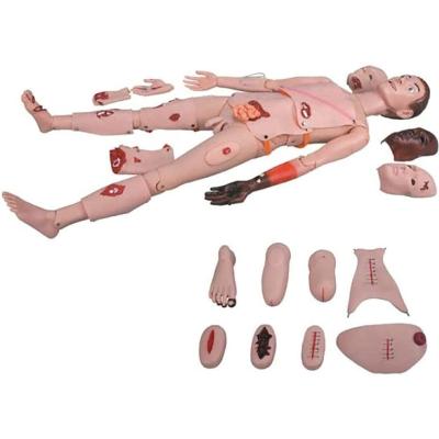 China Male Training Simulation Model Patient Care Simulator Durable Female Nursing Male And Manikin Female Nursing Human Anatomical Model for sale