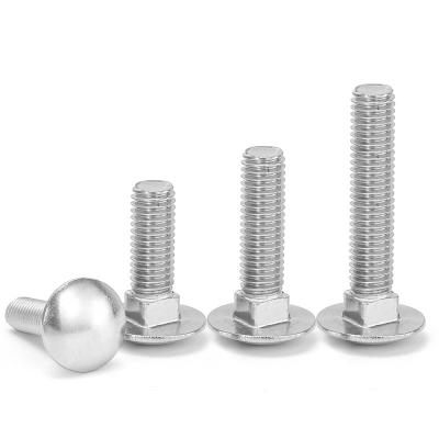 China Large Flat Head DIN603 304 Stainless Steel Large Flat Head Trolley Bolts Big Half Round Head Square Neck Shelf Screws M6M8 for sale